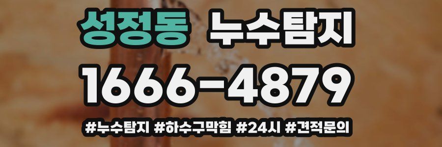 누수닥터 누수탐지
