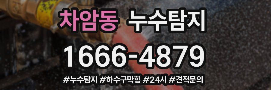 누수닥터 누수탐지