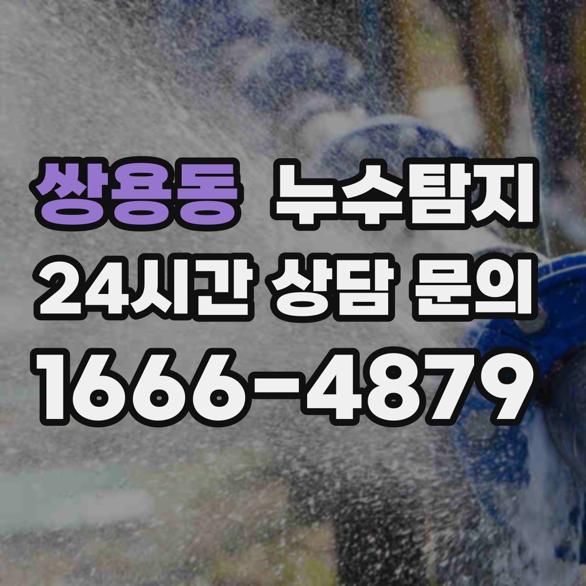 쌍용동 누수탐지 반지하 습기 문제 해결기