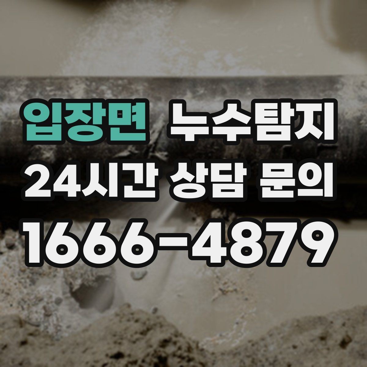 입장면 누수탐지 슬래브 바닥 누수 점검 리얼 후기