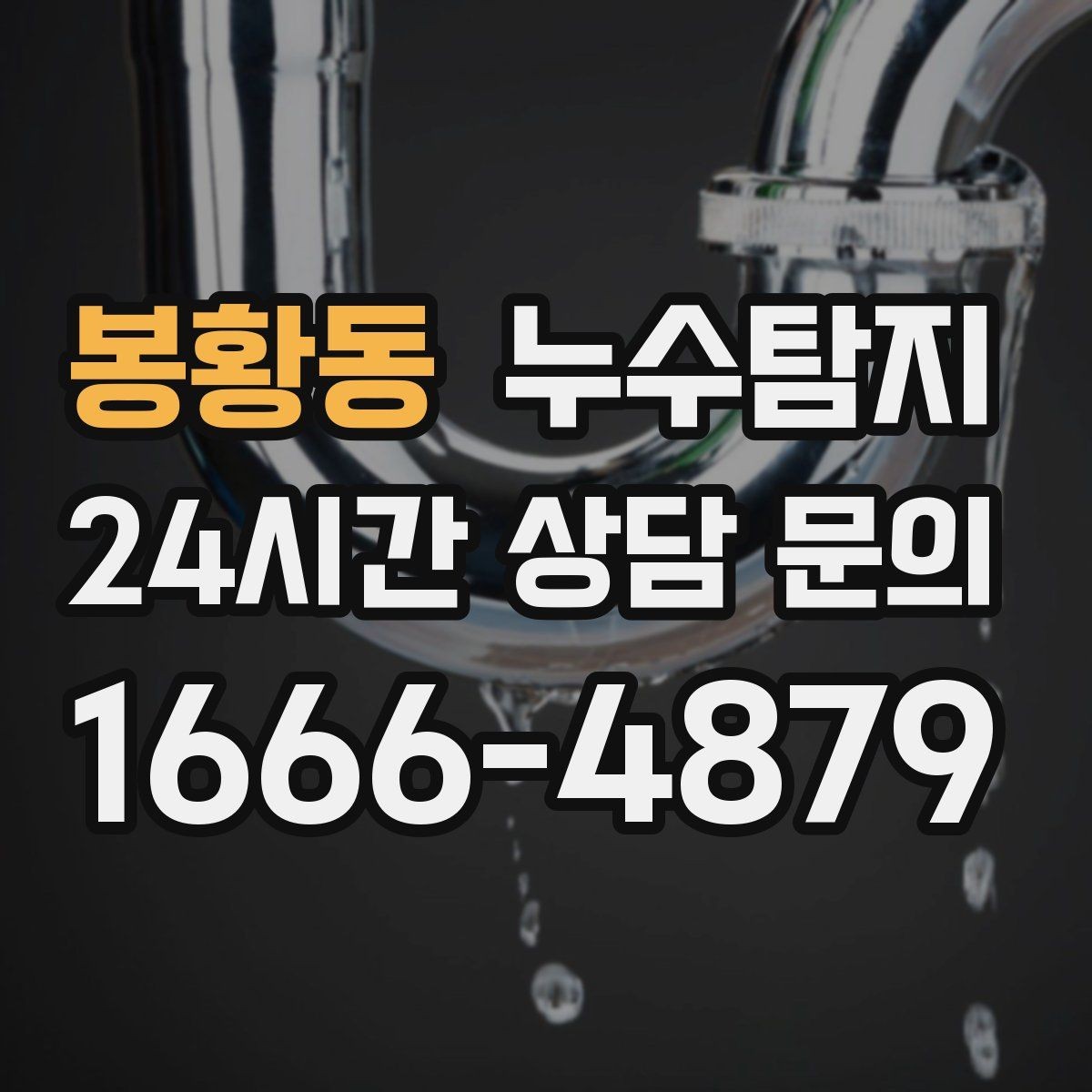 봉황동 누수탐지 공실 관리 정기 점검 운영기