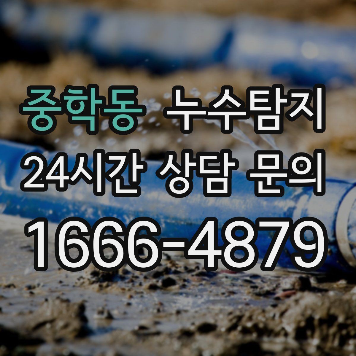 중학동 누수탐지 이사 전 집 상태 안심 점검