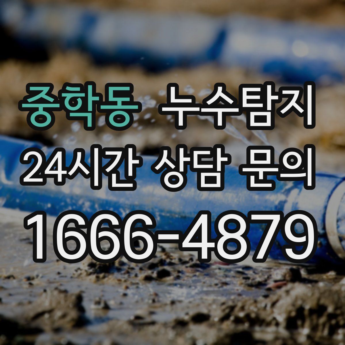 누수탐지