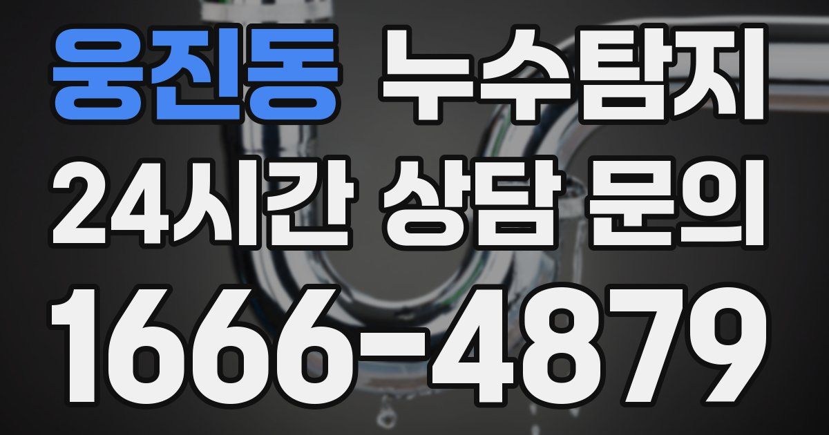 하수구막힘