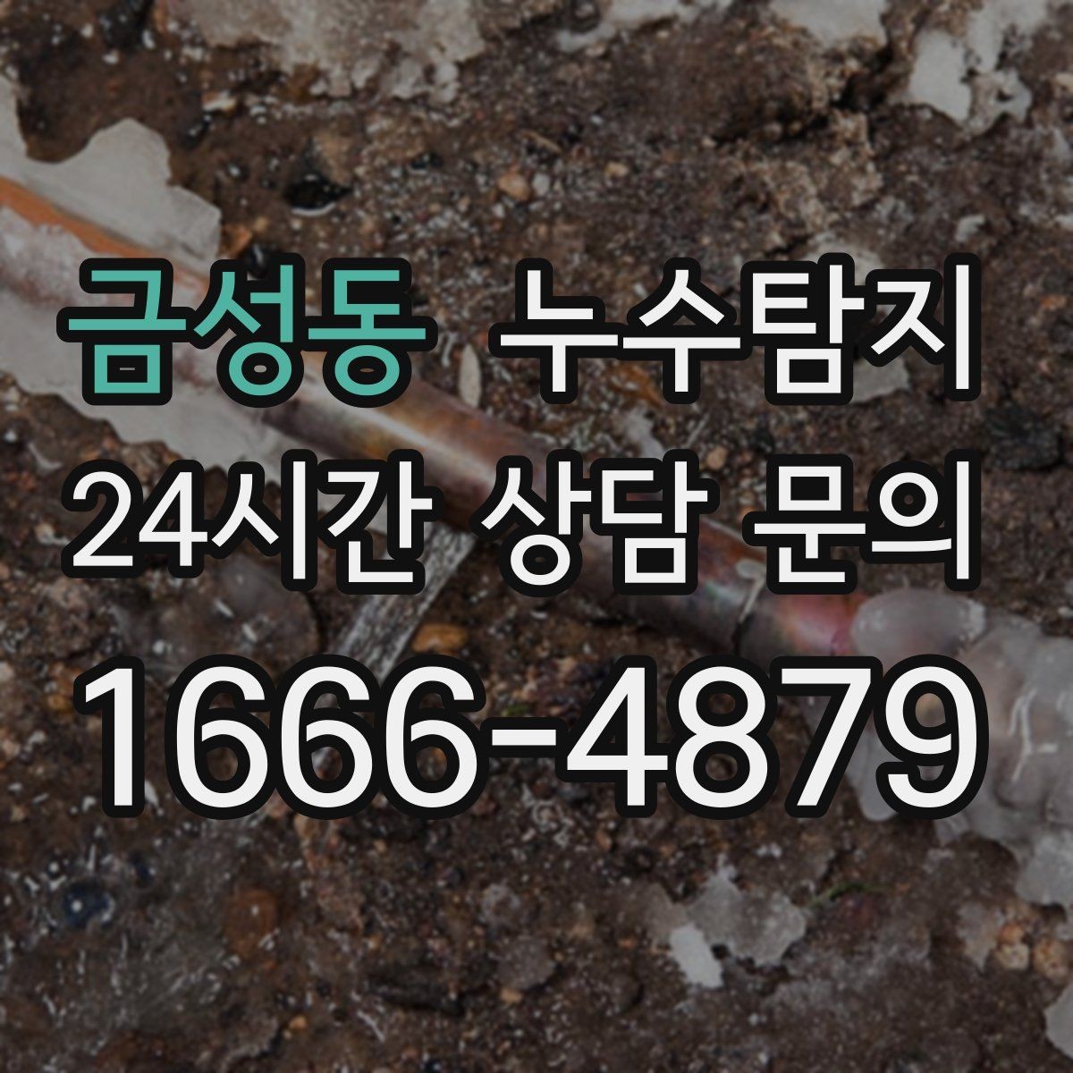 금성동 누수탐지 층간 분쟁 없이 정리한 해결기