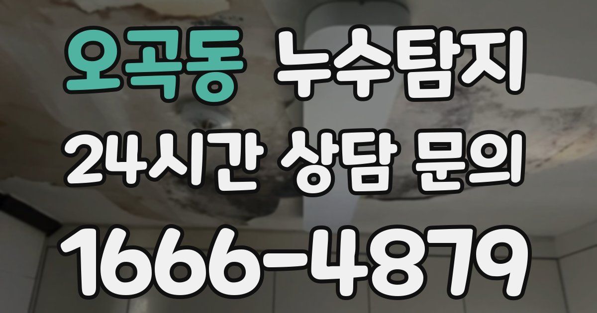하수구막힘