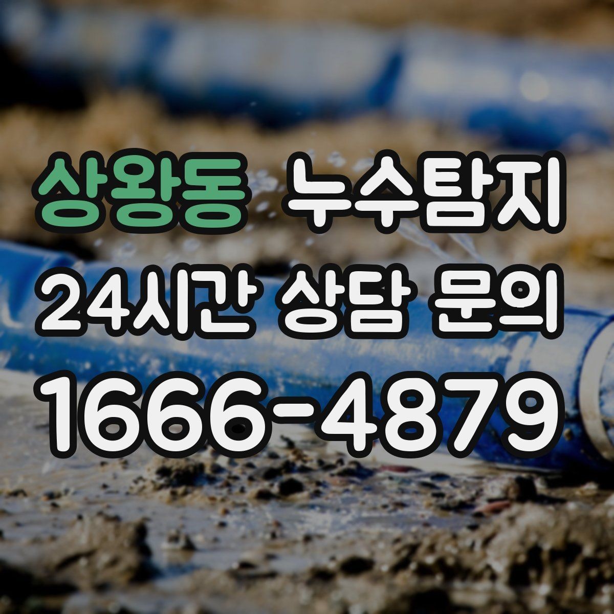 상왕동 누수탐지 전세 계약 전 집 상태 확인법