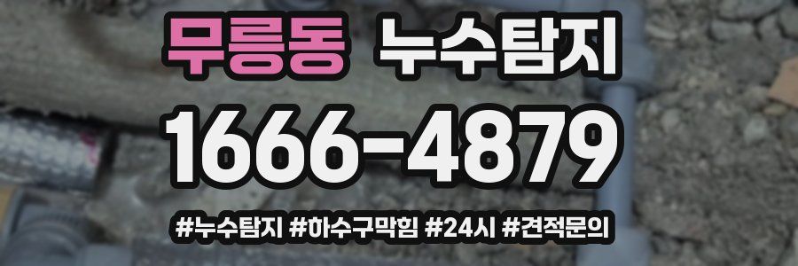 누수닥터 누수탐지