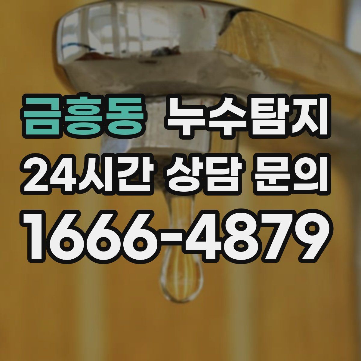 금흥동 누수탐지 집 안 공기질이 달라진 이유