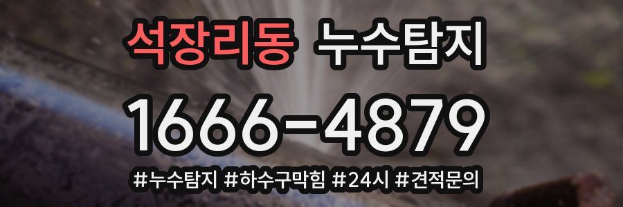 누수닥터 누수탐지