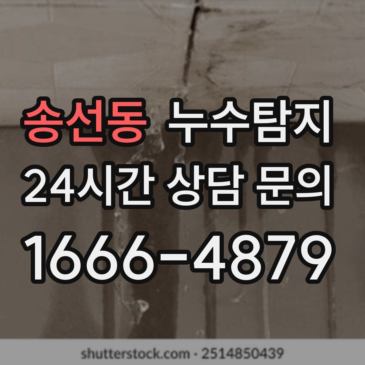 송선동 누수탐지 상가 매장 영업 중 점검 노하우