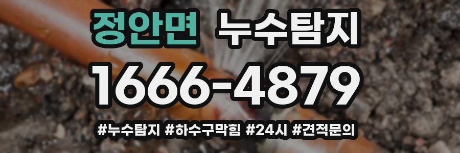 누수닥터 누수탐지