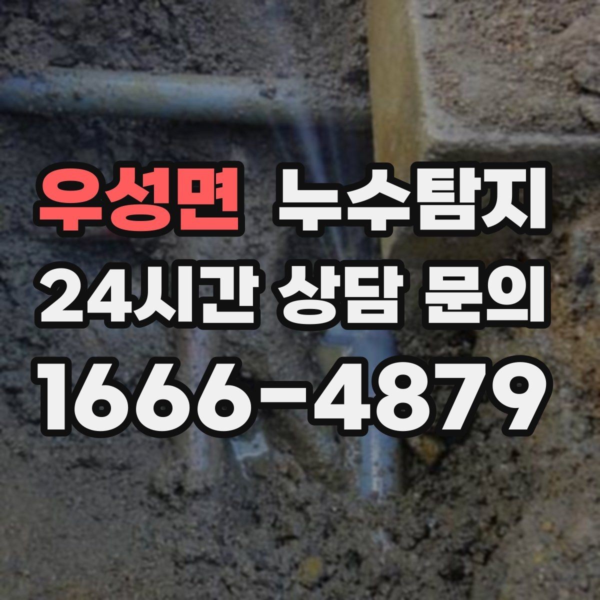 우성면 누수탐지 타일 속 누수까지 꼼꼼히