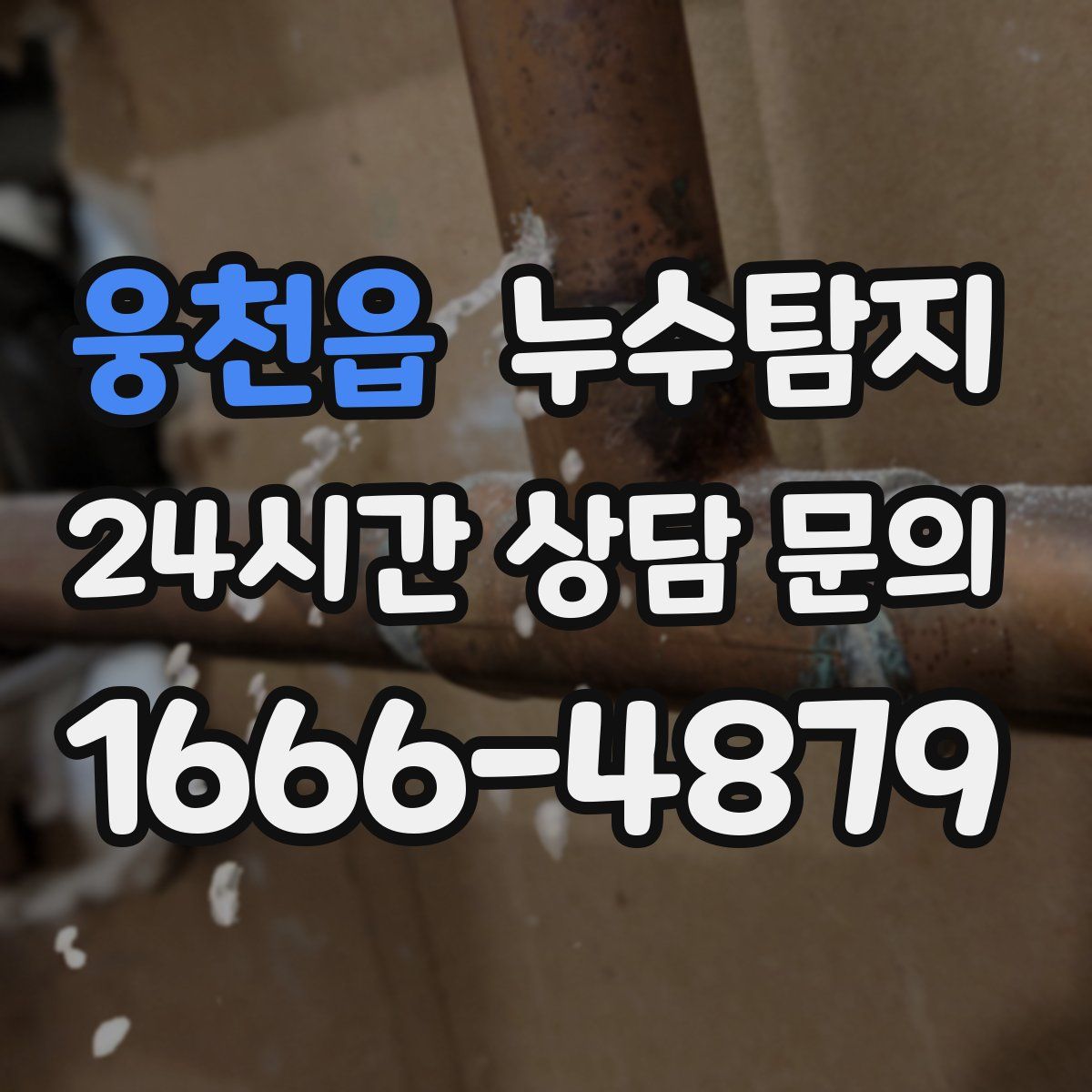 누수탐지