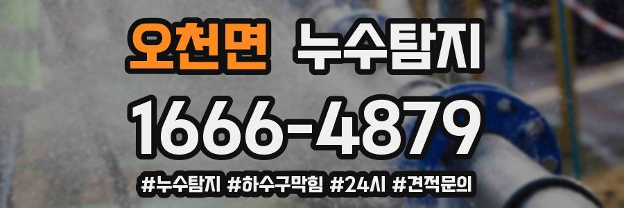 누수닥터 누수탐지