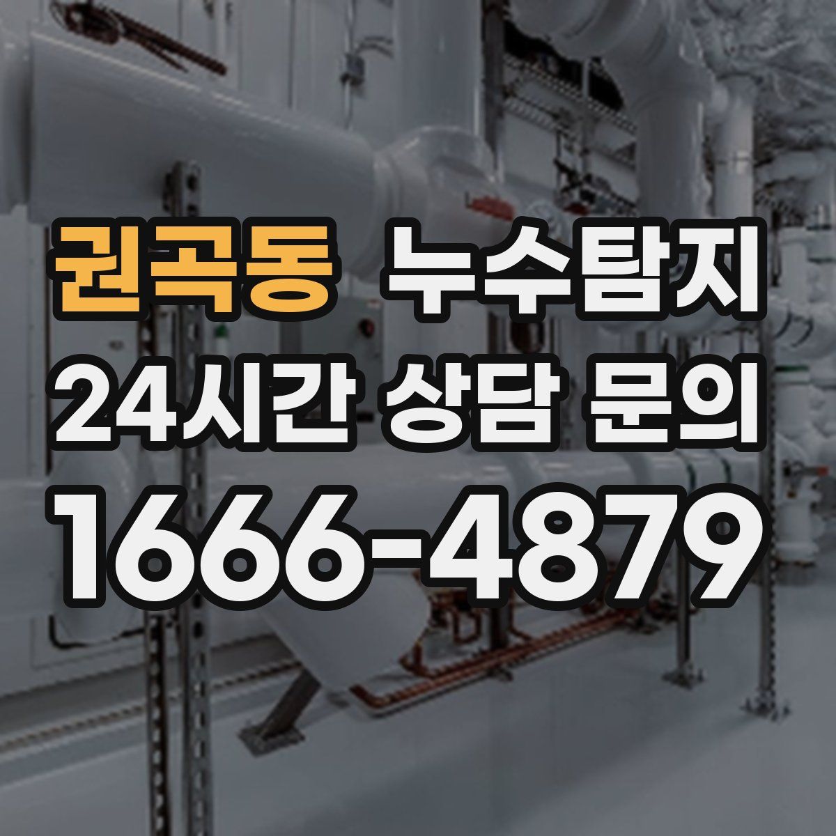누수탐지