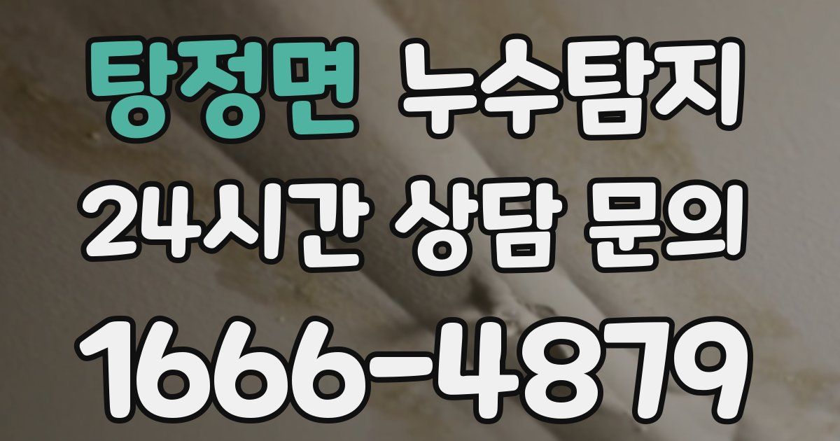 하수구막힘