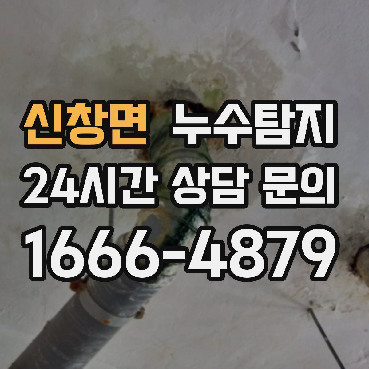 누수탐지