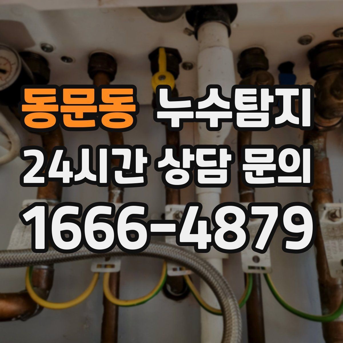 동문동 누수탐지 가구 뒤 곰팡이 원인 파헤치기