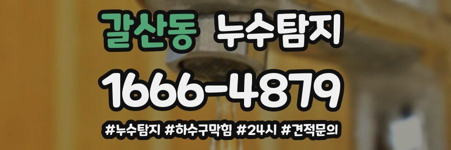누수닥터 누수탐지