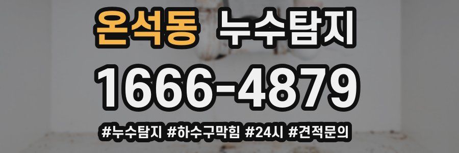 누수닥터 누수탐지