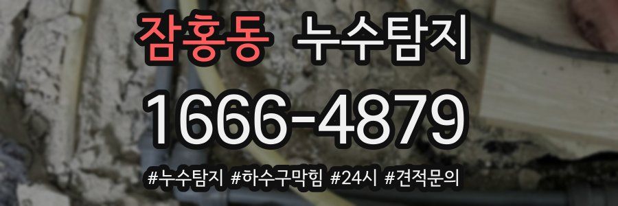 누수닥터 누수탐지