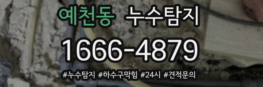 누수닥터 누수탐지