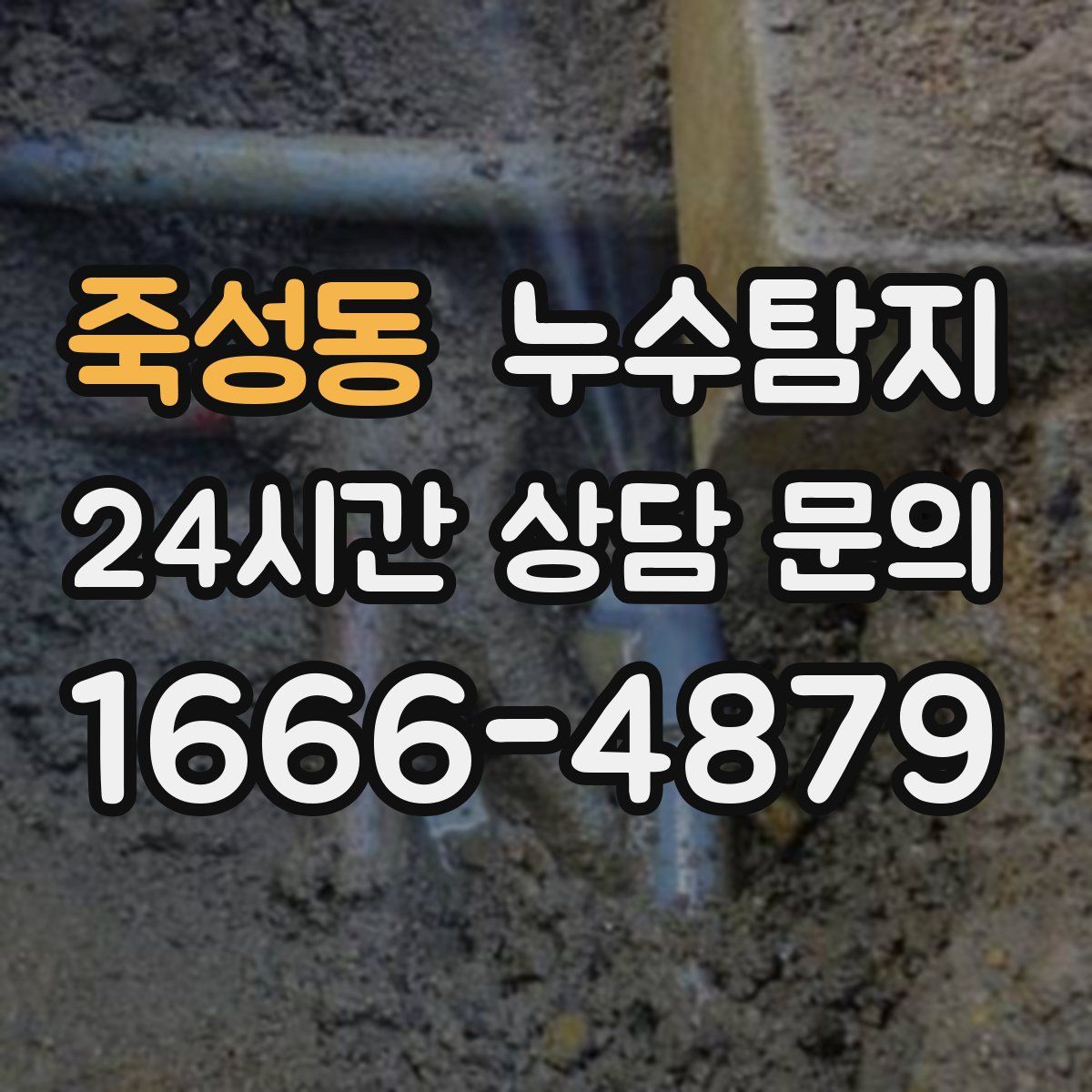 누수탐지