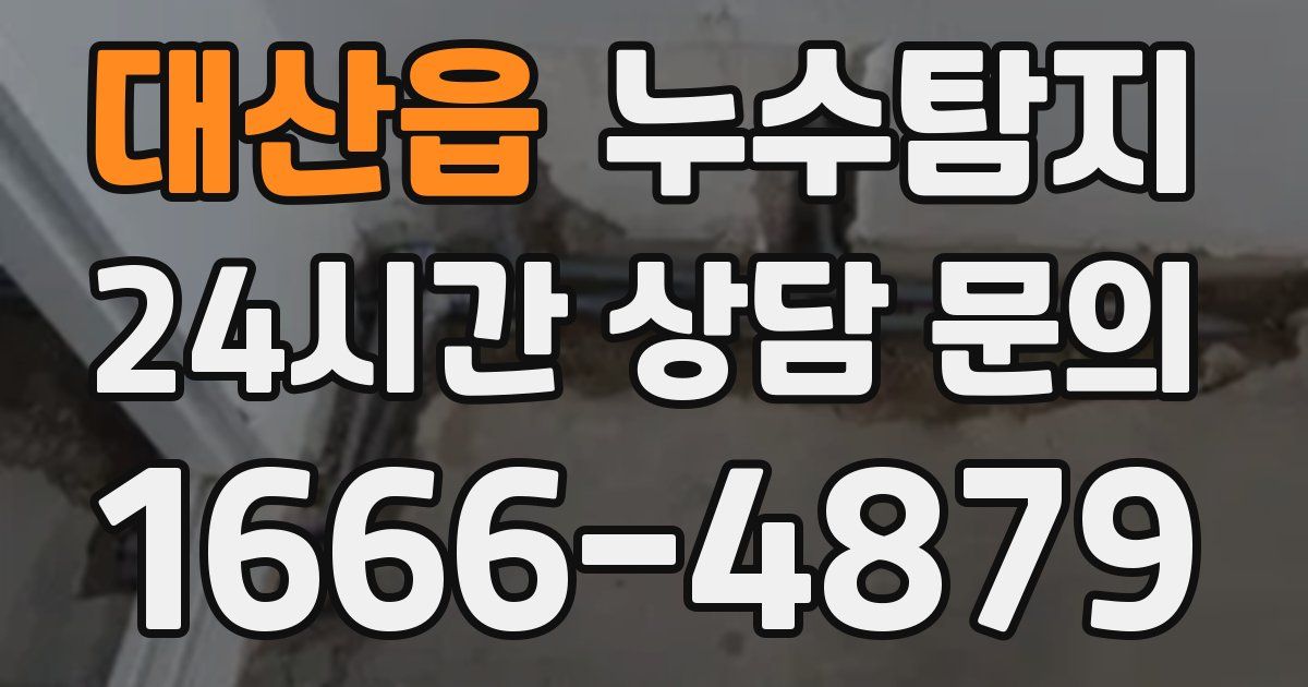 하수구막힘