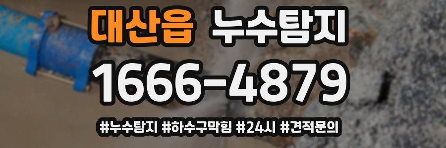 누수닥터 누수탐지