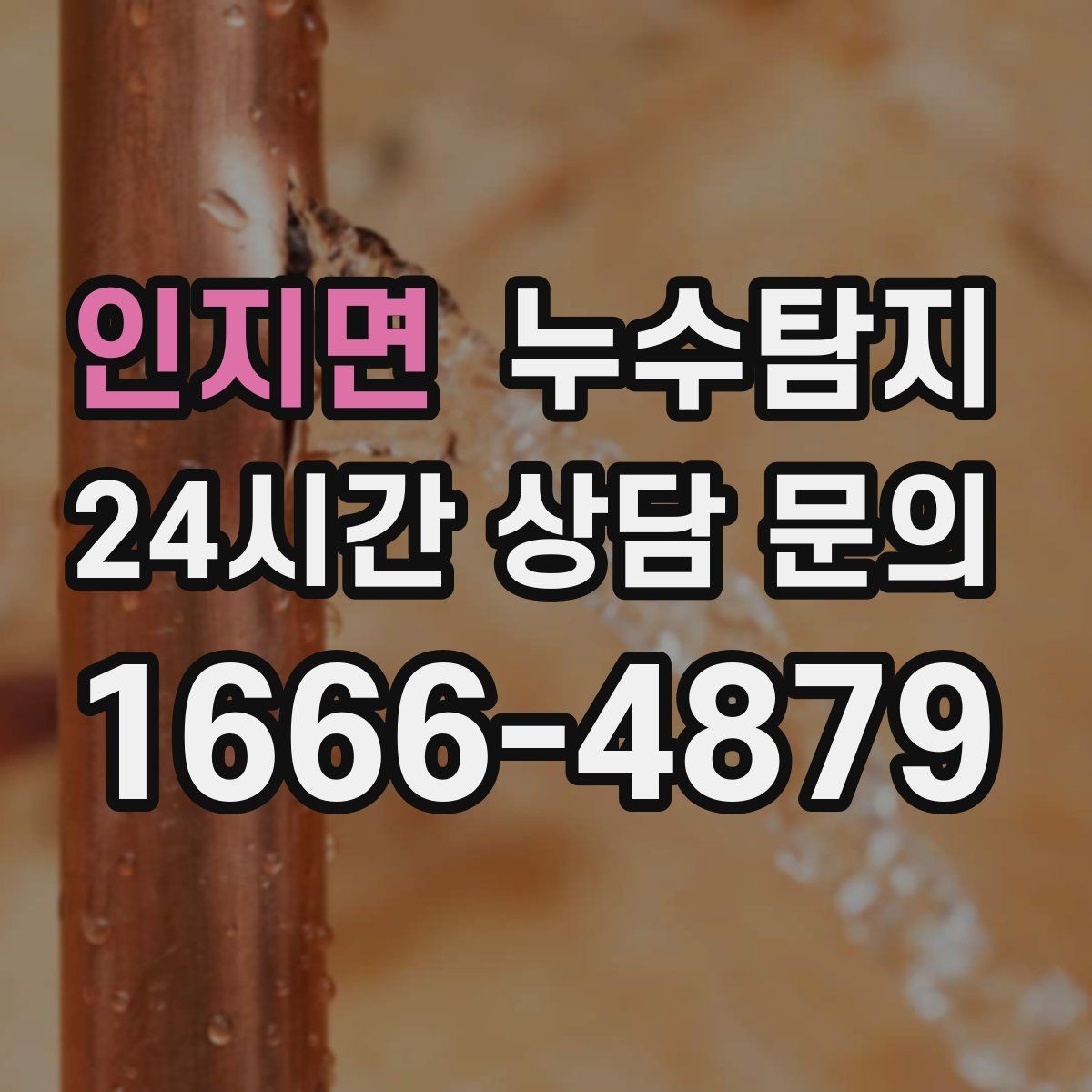 인지면 누수탐지 타일 속 누수까지 꼼꼼히