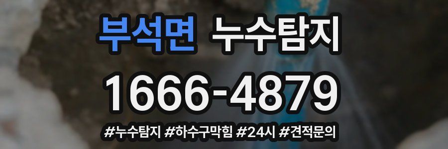 누수닥터 누수탐지
