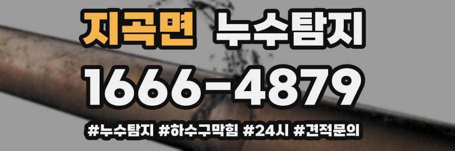 누수닥터 누수탐지