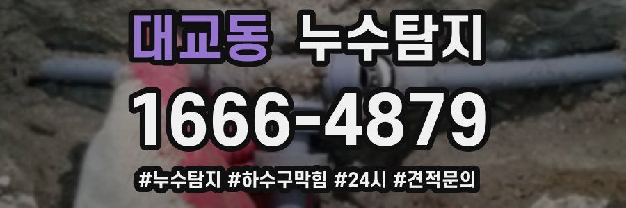 누수닥터 누수탐지