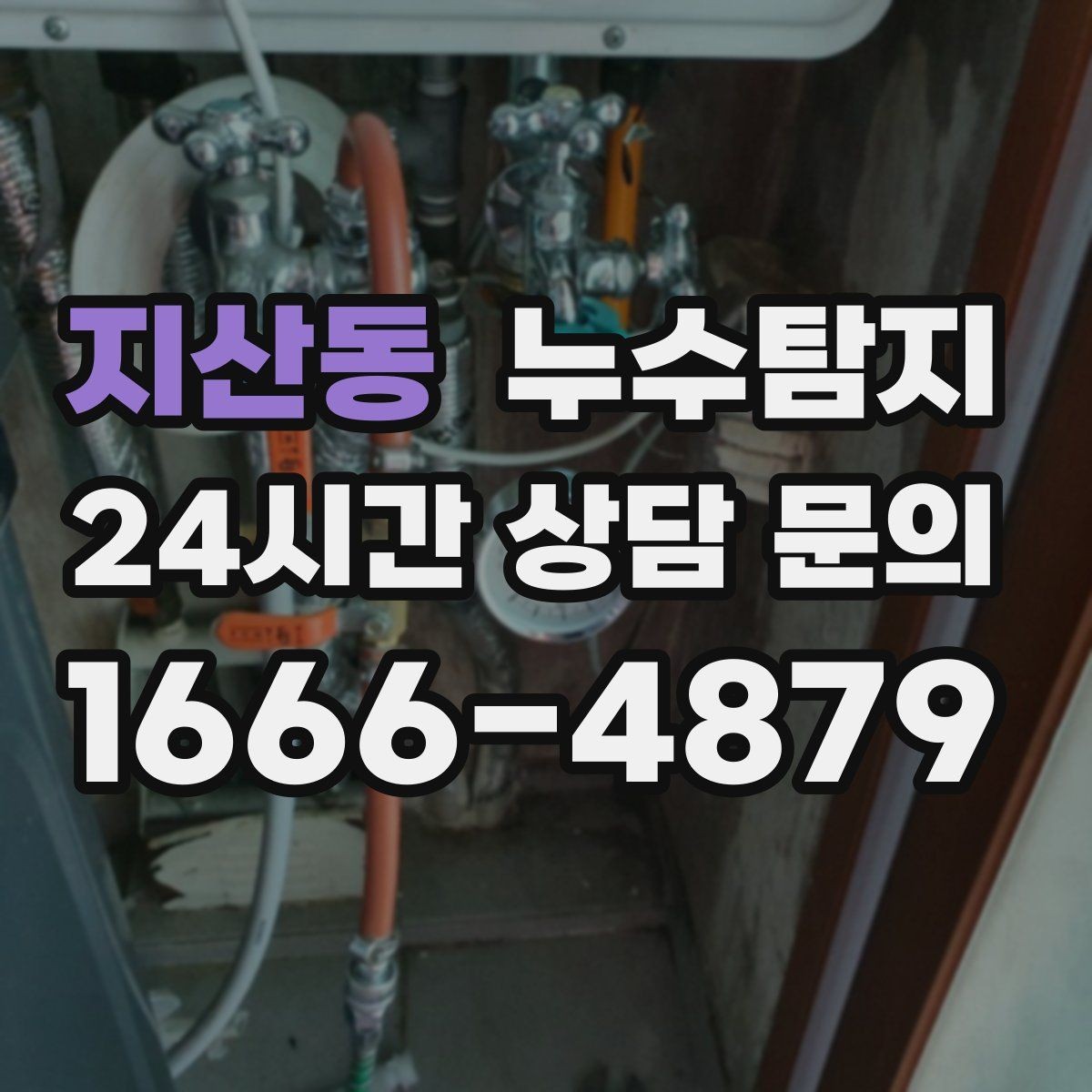 지산동 누수탐지 드레스룸 곰팡이 청결 회복