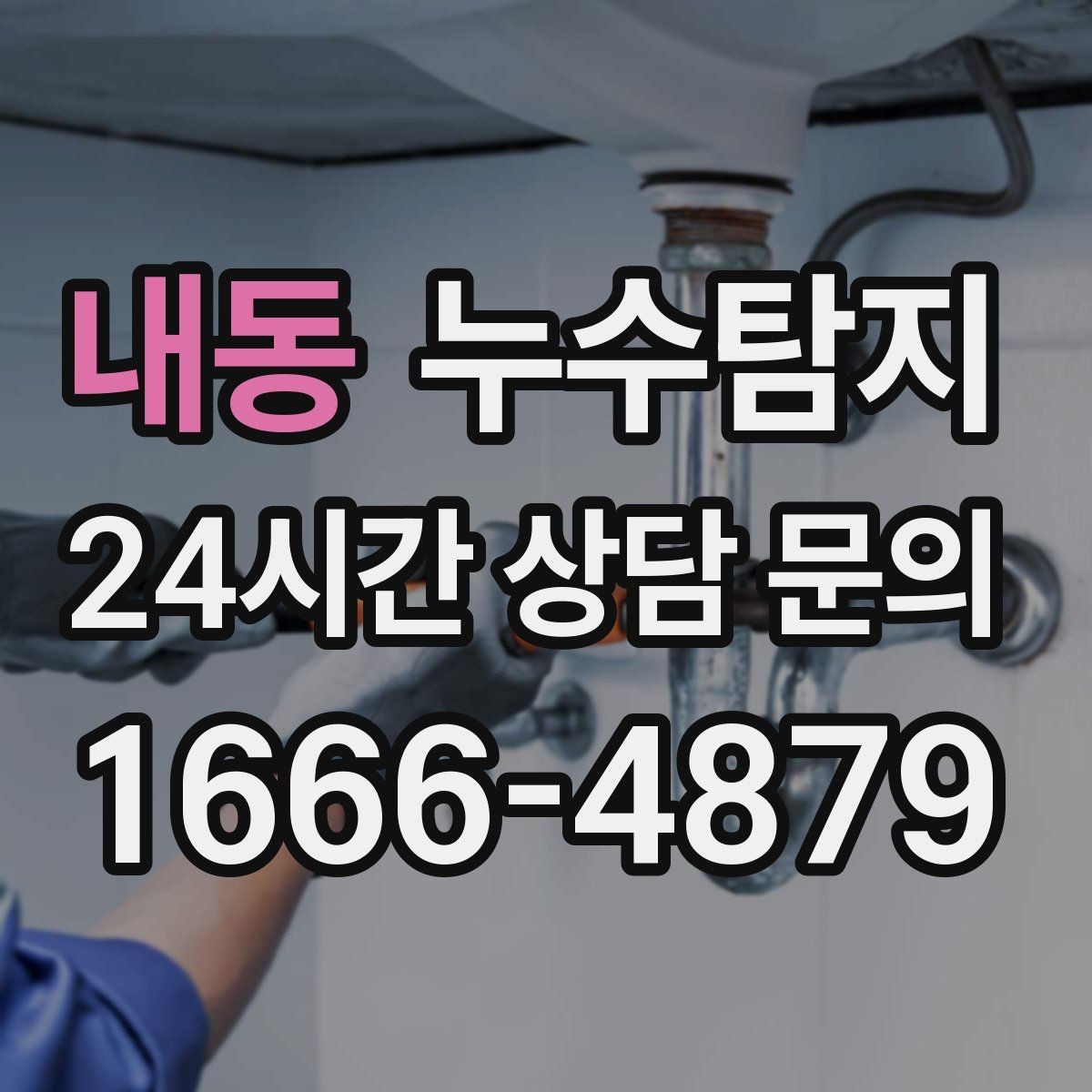 내동 누수탐지 곰팡이 악취 원인 진단