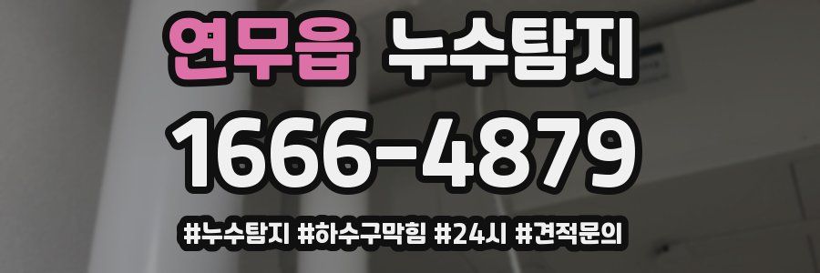 누수닥터 누수탐지