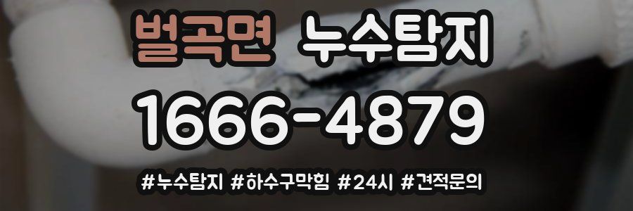 누수닥터 누수탐지