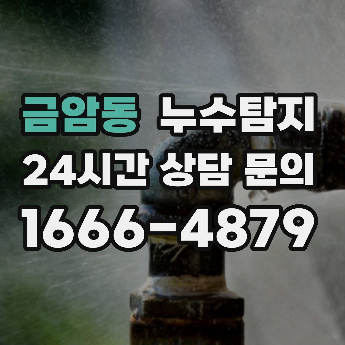 금암동 누수탐지 몰딩 틈새 습기 원인 추적