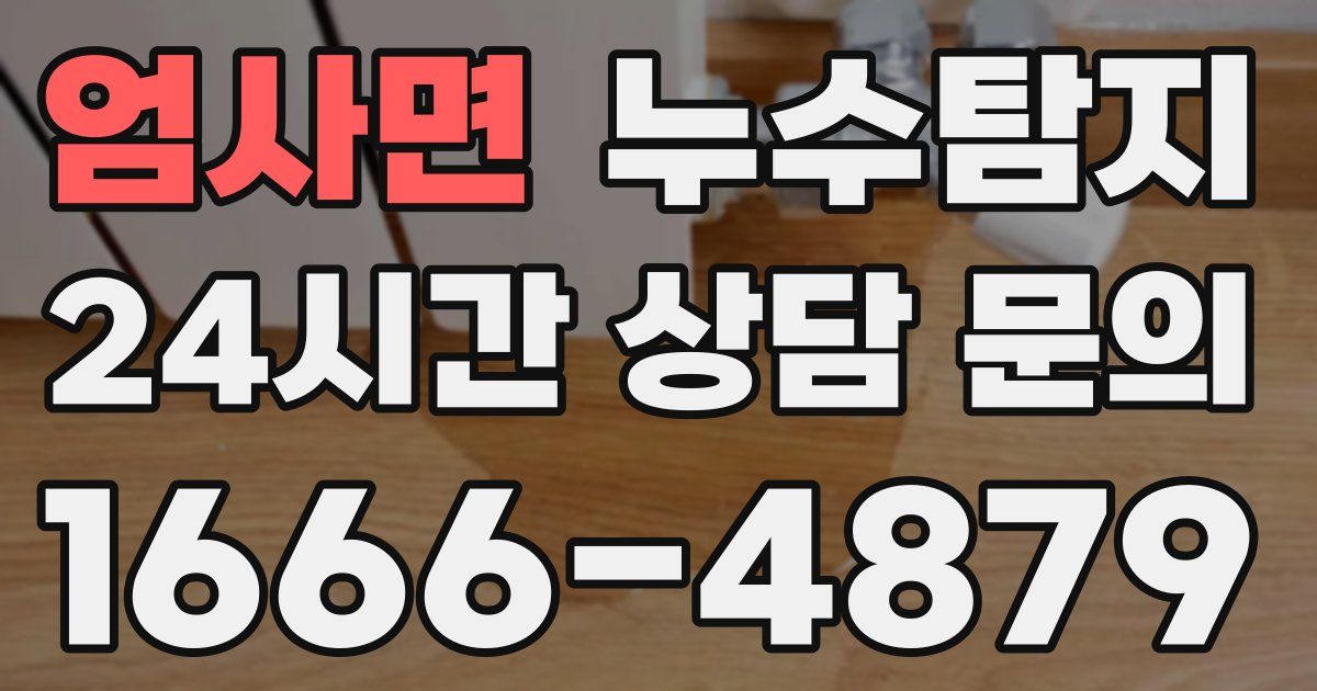 하수구막힘