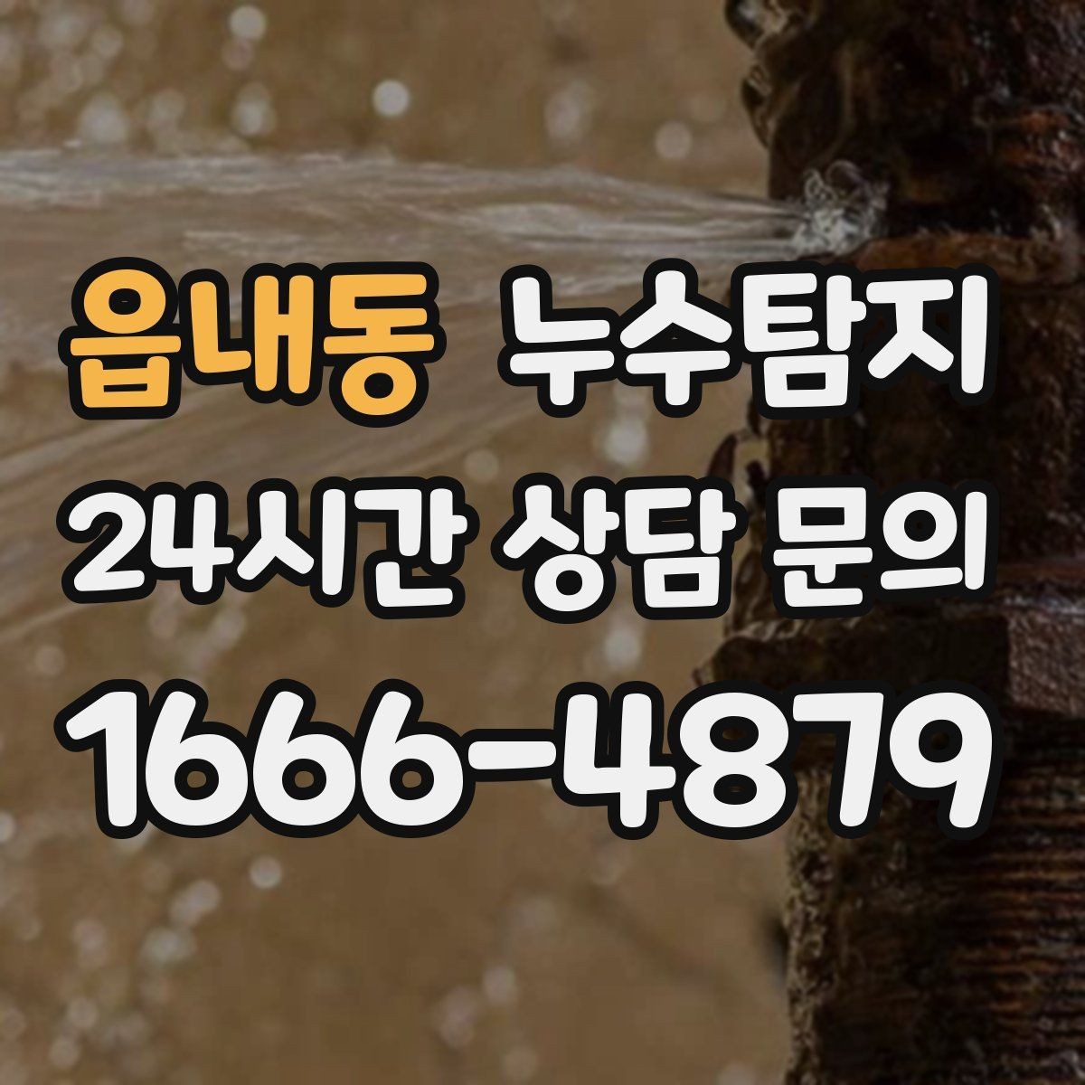 읍내동 누수탐지 예약 즉시 방문 가능 지역