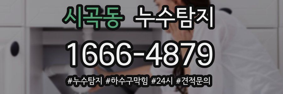 누수닥터 누수탐지