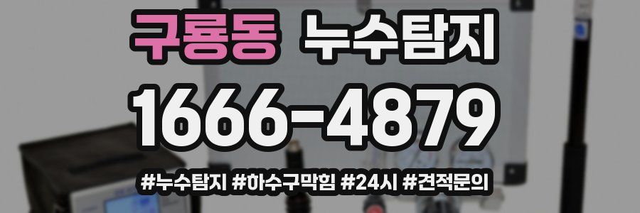누수닥터 누수탐지