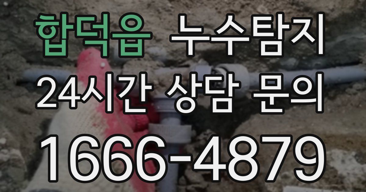 하수구막힘