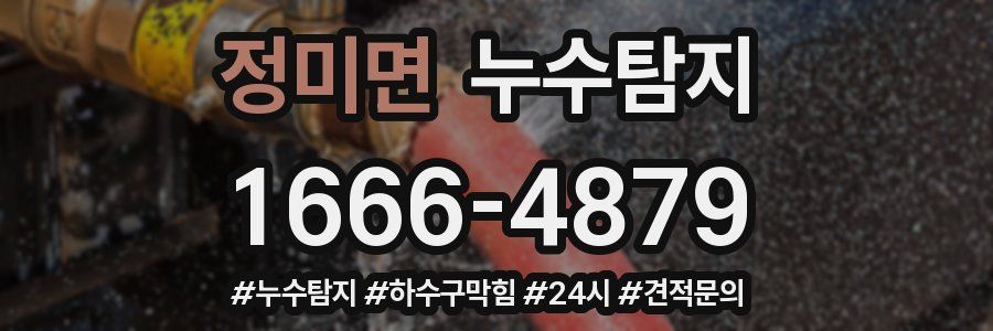 누수닥터 누수탐지