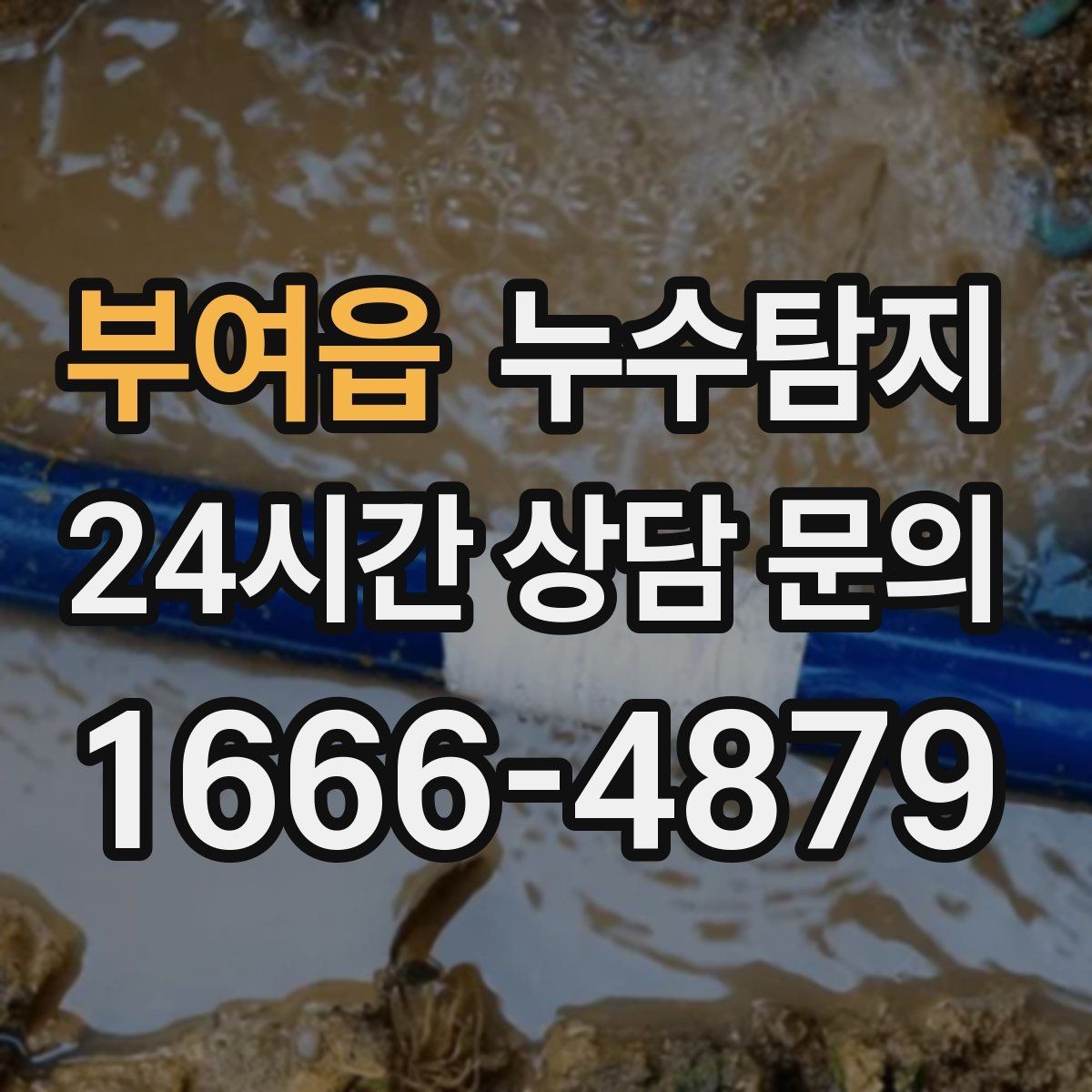 부여읍 누수탐지 변기 연결부 미세 누수 판별