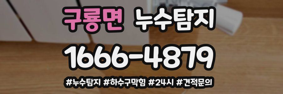 누수닥터 누수탐지