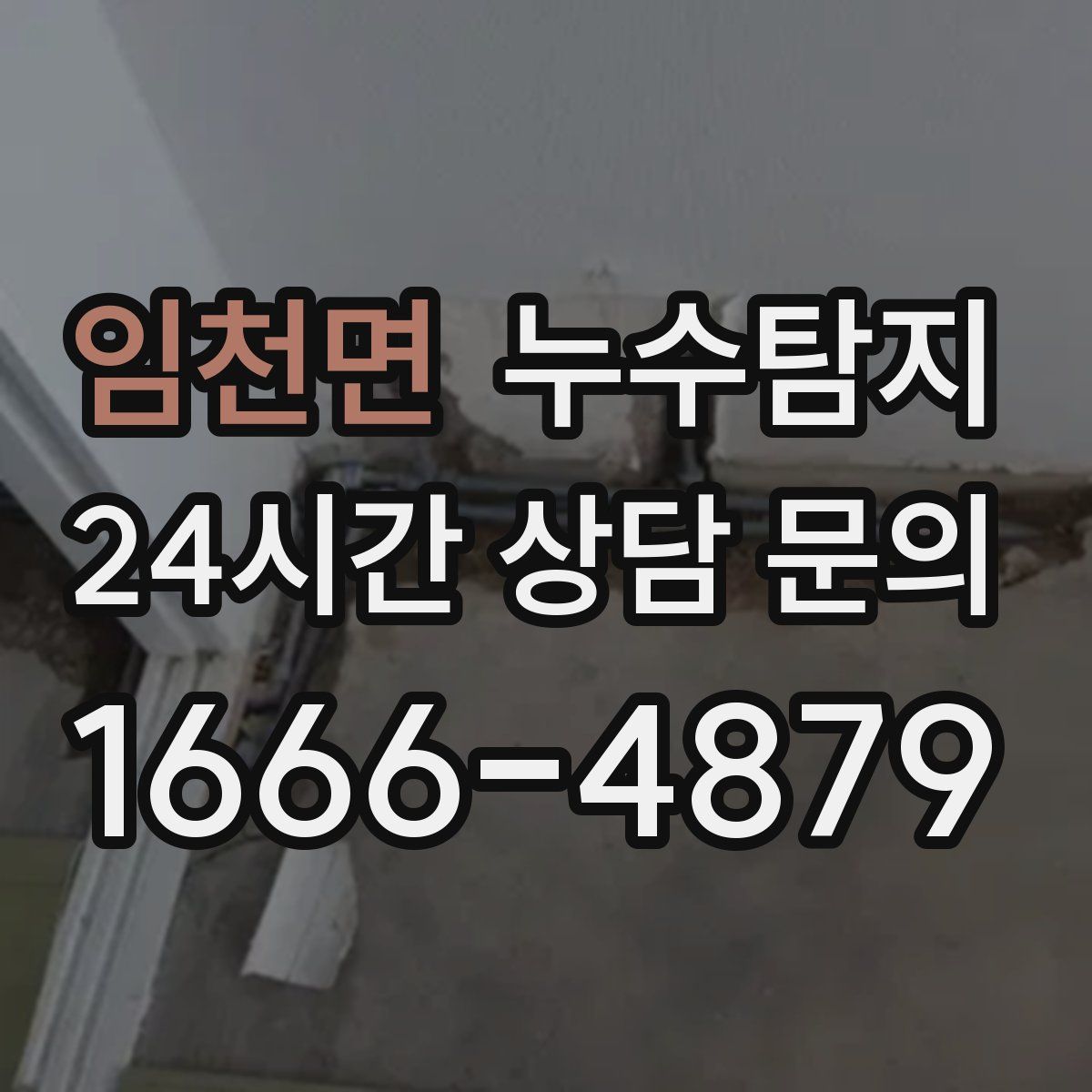 누수탐지