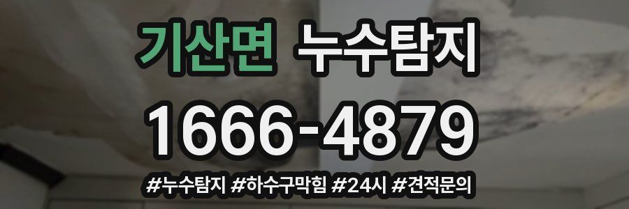 누수닥터 누수탐지