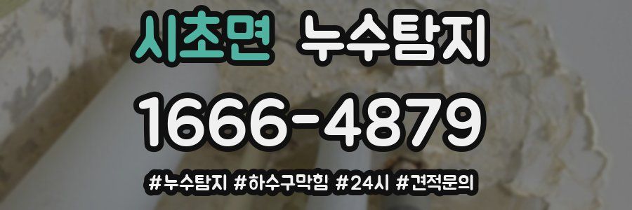 누수닥터 누수탐지